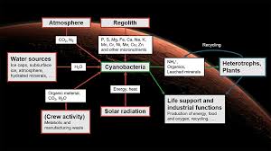 It was based on the work of carnot, before the formulation of the first. Frontiers A Low Pressure N2 Co2 Atmosphere Is Suitable For Cyanobacterium Based Life Support Systems On Mars Microbiology