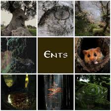 We Are Tree Herds We Old Ents Few Enough Of Us Are Left Now Sheep Get Like Shepherd And Shepherds Like Shee Fantasy Portraits Lord Of The Rings The Hobbit