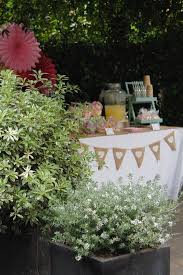 Planifica la decoracion de tu mesa de dulces eligiendo los adornos y complementos que más le vaya, según el color que elijas y que debe predominar también en los accesorios y golosinas.te sugerimos colocar un banderin de triangulos sobre el faldón de la mesa. Decoracion De Una Fiesta Y Candy Bar En Un Jardin De Barcelona La Fiesta De Olivia