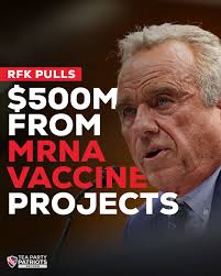 Health Secretary Robert F. Kennedy Jr. canceled 22 federal mRNA vaccine  contracts totaling about $500 million—citing concerns that the risks of  using mRNA technology against upper-respiratory viruses like COVID and flu  now