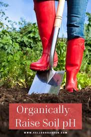 Oct 20, 2012 · changing the ph of your soil factors affecting soil ph. How To Organically Raise Ph In Soil Kellogg Garden Organics