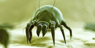 Image result for site:byggahus.se Macro