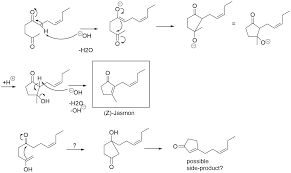 organic chemistry - Regioselectivity in the aldolcondensation towards (Z)- Jasmon - Chemistry Stack Exchange