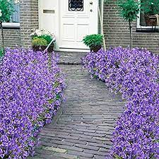 Outdoor artificial flowers in planters. Mrinb Artificial Flowers Outdoor Artificial Planters Flowers For Outside 4 Bundles Outdoor Uv Resistant Greenery Shrubs Plants Indoor Outside Hanging Planter Fake Outdoor Flowers Purple Amazon Co Uk Home Kitchen