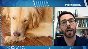 Veronica Silesto Military Party - She Proved a Legend