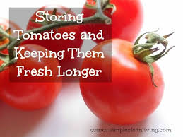 Storing Tomatoes And Keeping Them Fresh Longer How To Store Tomatoes Tomato Preserving Tomatoes