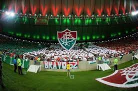 Garantir a conservação e o uso sustentável. Pin Em Fluminense