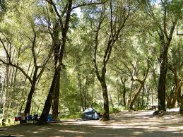 For updated information please visit our website at: Los Padres National Forest Nacimiento Campground
