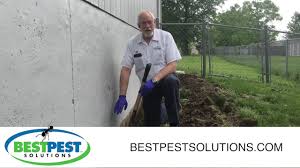 Pest control service in belton, missouri. About Bestpest