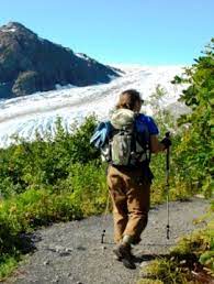 We saw lots of alaskan wildlife before we'd even left resurrection bay. Hiking Kenai Fjords National Park U S National Park Service