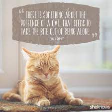 50 Cat Quotes That Only Feline Lovers Would Understand Cat Quotes Funny Cat Love Quotes Cat Quotes