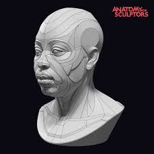 174 851 просмотр 174 тыс. Artstation African Female Head And Neck Block Out Anatomy For Sculptors