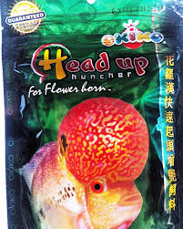 Okiko Fish Food Size M 3 5 Oz 100g Head Up Hunch High Protein Calcium With Astaxanthin Plus Flowerhorn Cichlid