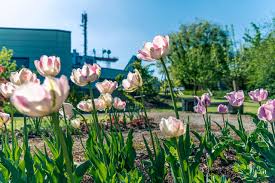 Das wetter in salzburg (österreich). Der Orf Salzburg Fernsehgarten Salzburg Orf At Landesstudio Salzburg