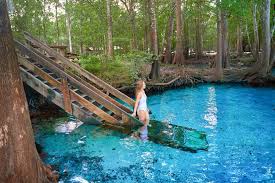 Spend an afternoon exploring high springs or ichetucknee state park, seeing a show at the hippodrome state theatre, checking out the florida museum of natural history or discovering downtown gainesville's historic district or paynes prairie state park, the. 15 Best Florida Springs With Camping You Should Visit Florida Trippers