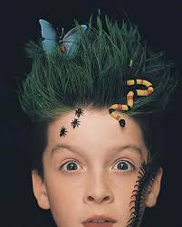 Happy new year to all you crazy hair people! 30 Awesomely Crazy Hair Ideas For Boys