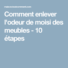 Comment Enlever L Odeur De Moisi Des Meubles 10 Etapes Odeur Urine Urine De Chien Odeur