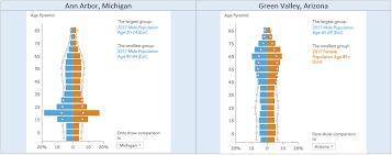 Create Age Pyramid Charts In Business Analyst