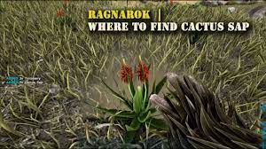 Ark ragnarok where to find cactus sap in this video i give you a quick and easy to follow tutorial on where to find cactus sap on. Ark Ragnarok Where To Find Cactus Sap Youtube