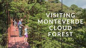 We did not find results for: Monteverde Costa Rica Youtube