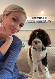 5-Month-Old Puppy Update for Chance's Fans