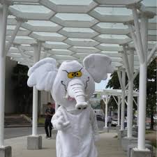 Nelson Lenis Nicholls