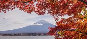 Iconic Views of Mount Fuji: Fuji Kawaguchiko Autumn Leaves ...
