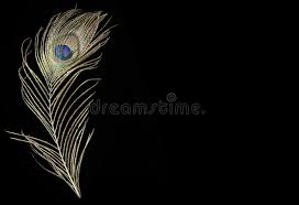 Here you can find the best peacock feather wallpapers uploaded by our community. 3 244 Peacock Feather Black Background Photos Free Royalty Free Stock Photos From Dreamstime