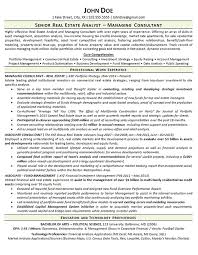 Develop a competitive market price by comparing properties. Real Estate Resume Example Consultant