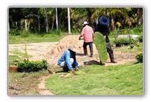 Good morning from us at san diego sod farm. Outdoor Living San Diego Ca Pacific Sunscapes