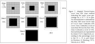 Image result for Rubus runssorensis