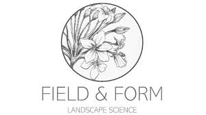 Image result for Decorsea schlechteri