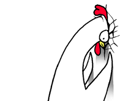 Image result for chicken dance