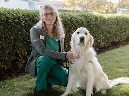 Image result for Walleria mackenziei