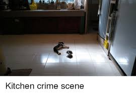 We did not find results for: Kitchen Crime Scene Crime Meme On Me Me