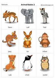 23 Zoo Animals Names List Ideas Animals Name List Animals Name In English Animals