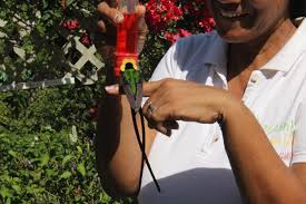 Maybe you would like to learn more about one of these? Ahhh Ras Natango Gallery And Garden Montego Bay 2021 All You Need To Know Before You Go With Photos Tripadvisor