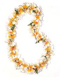 Fresh Hawaiian Orchid Leis Loose Orchid Blooms Plumeria Flower Photos Orchid Lei