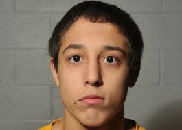 The 2015 lehighvalleylive All-Area wrestling team