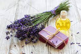 Lavender Oil And Lavender Flowers Lavender Spa Lavender Flowers Lavender Oil