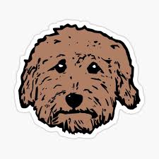 After this the focus is all on the head. Goldendoodle Face Stickers Redbubble