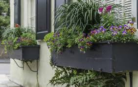 20 fleurs pour une jardinière d'été réussie ! 11 Conseils Pour Bien Composer Une Jardiniere Sur Le Balcon