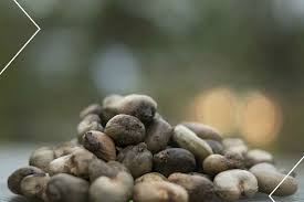 Grammar check includes capitalization, punctuation, proper nouns. Best Market Price For Mozambique Raw Processed Cashew Nuts