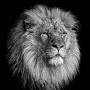 Profile Picture of Richard Taulbee (r_taulbee) - Profile - Pintereston Google