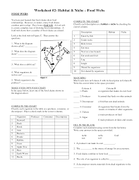 Food Chain Worksheet Answers In 2021 Social Studies For Kids Teaching Biology Food Web
