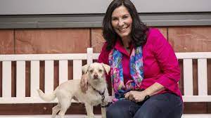 Humane society of silicon valley milpitas •. Former Humane Society Silicon Valley President Carol Novello Is A Leader Author And Saver Of Animal Lives Silicon Valley Business Journal