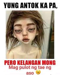 AR Bella's Pride Kennel