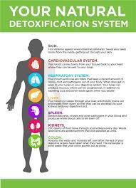 Activation Products Detox Toxins Detoxify Your Body Body Detox