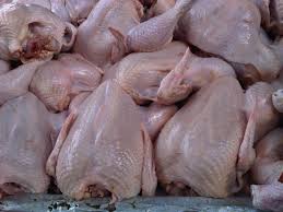 Daftar harga ayam broiler hari ini sabtu, 23 januari 2021 telah kami update dengan data yang terakurat, harga ayam broiler atau. Harga Ayam Hari Ini Terbaru Pt Karya Pangan Sejahtera