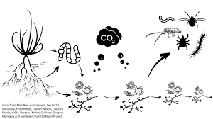 Maybe you would like to learn more about one of these? 5 Things To Know About The Haney Soil Health Test